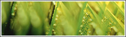 Teleprotection Equipment