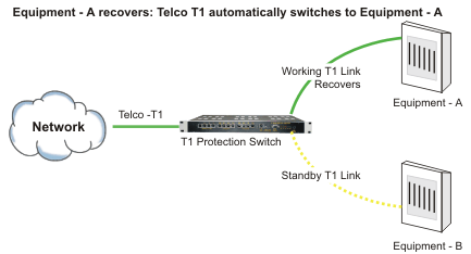 T1 Failover (T1 Automatic Protection) Switch