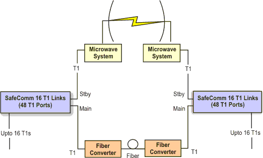 16 T1 Links (48 T1 Ports), 1+1 Automatic Protection Switching (APS)