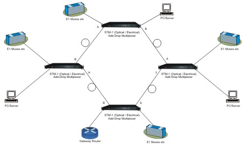 Ring network application diagram